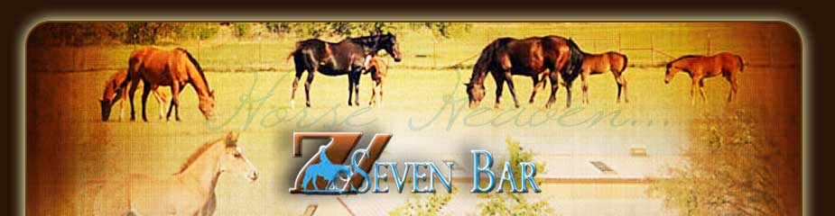 7 Seven Bar Quarter Horses